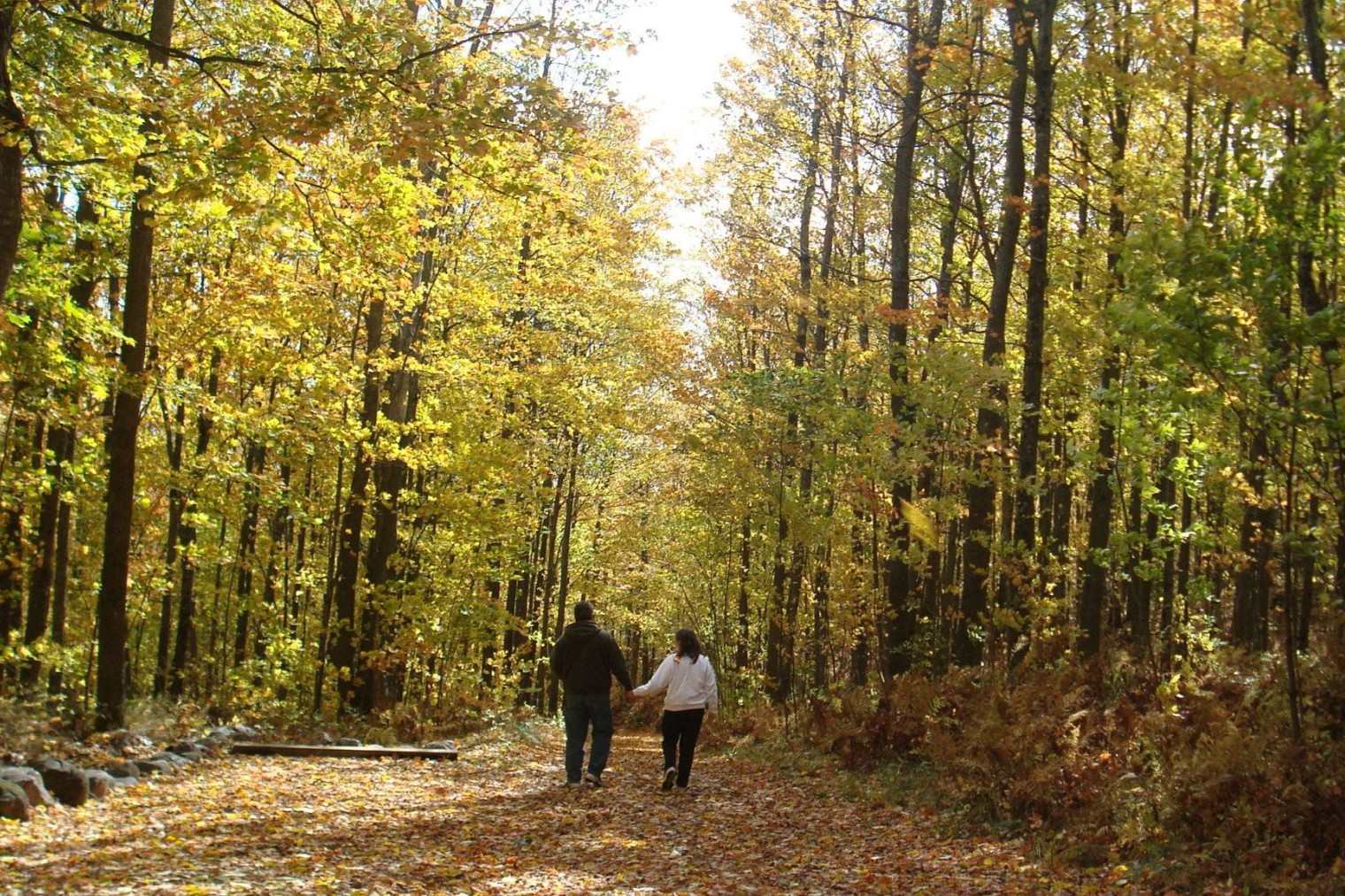 Secrets-Of-Wisconsin8217s-Kettle-Moraine-Ice-Caves secrets-of-wisconsins-kettle-moraine-ice-caves