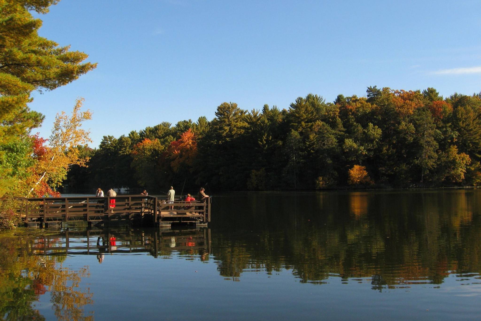 Secrets-Of-Wisconsin8217s-Mirror-Lake-Trees secrets-of-wisconsins-mirror-lake-trees