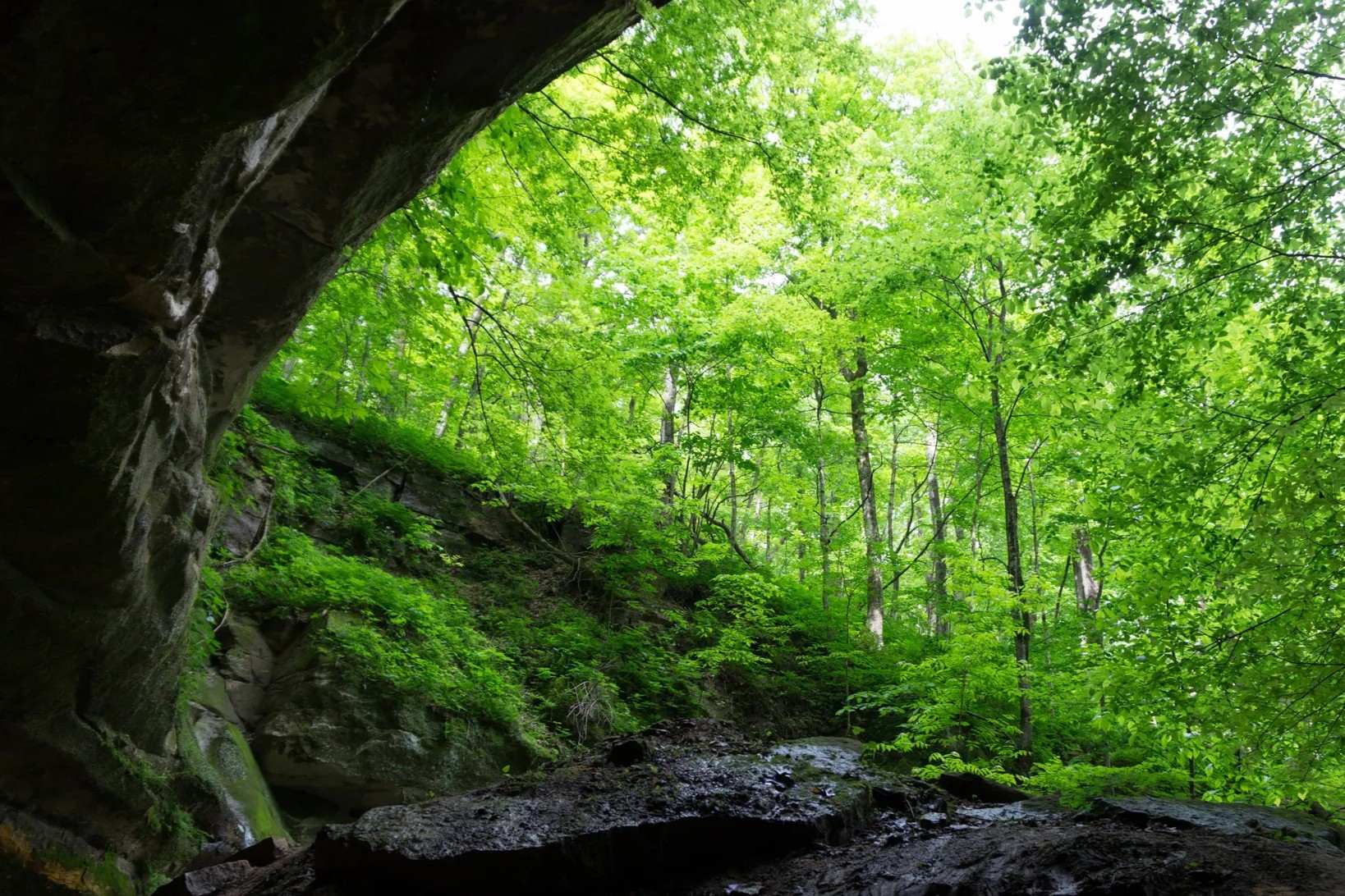 secrets-of-wisconsins-wyalusing-petroglyphs