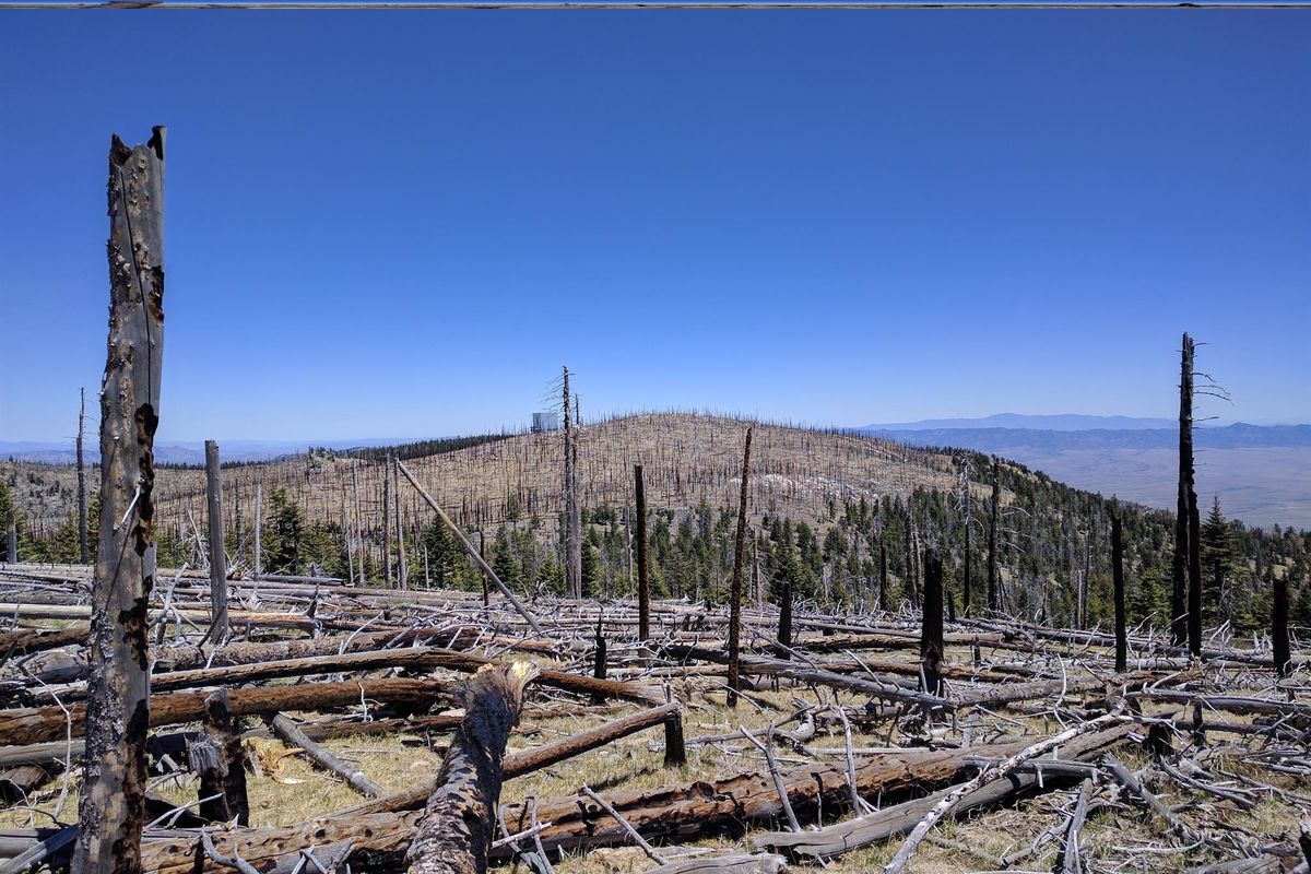 the-hidden-crystal-falls-of-arizonas-pinaleno-mountains