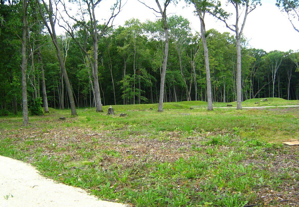 the-mystery-of-wisconsins-lizard-mound