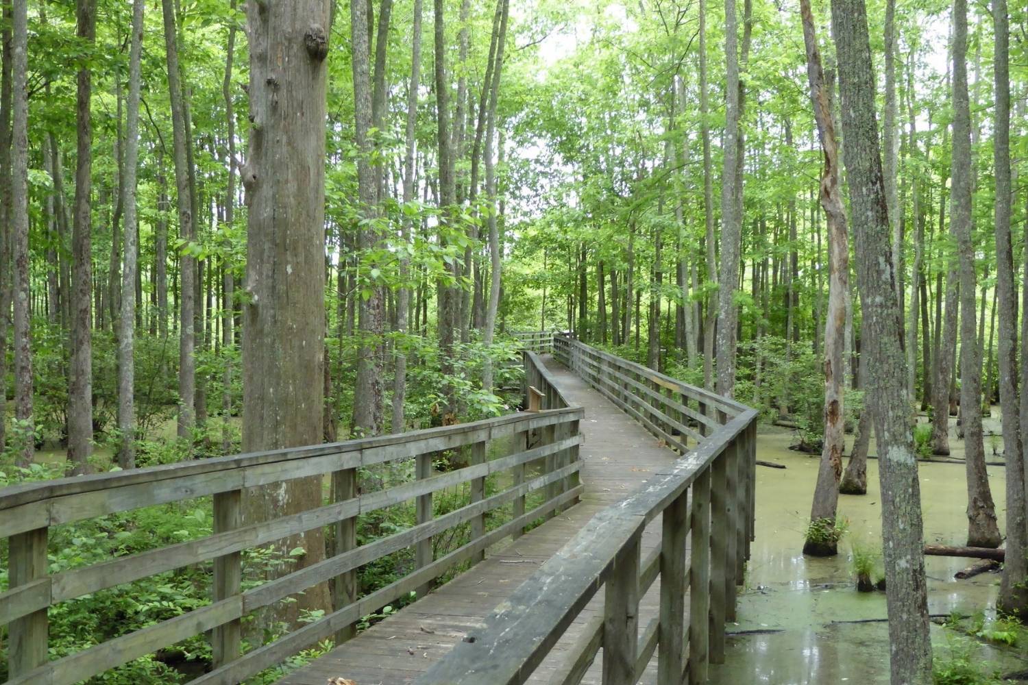 the-secrets-of-tennessees-ghost-mineral-springs