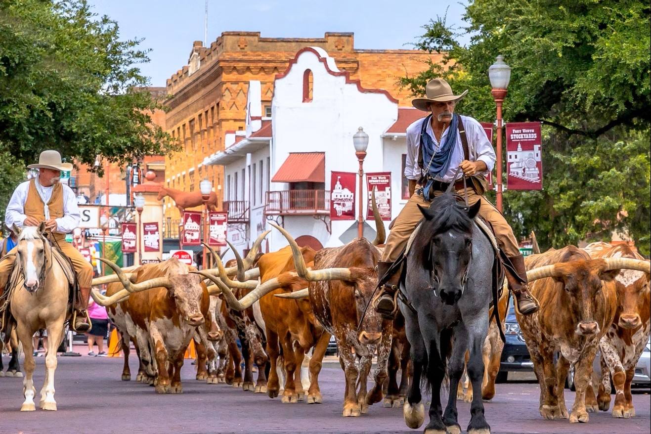 Hidden-Cattle-Drive-Trails-In-Texas hidden-cattle-drive-trails-in-texas