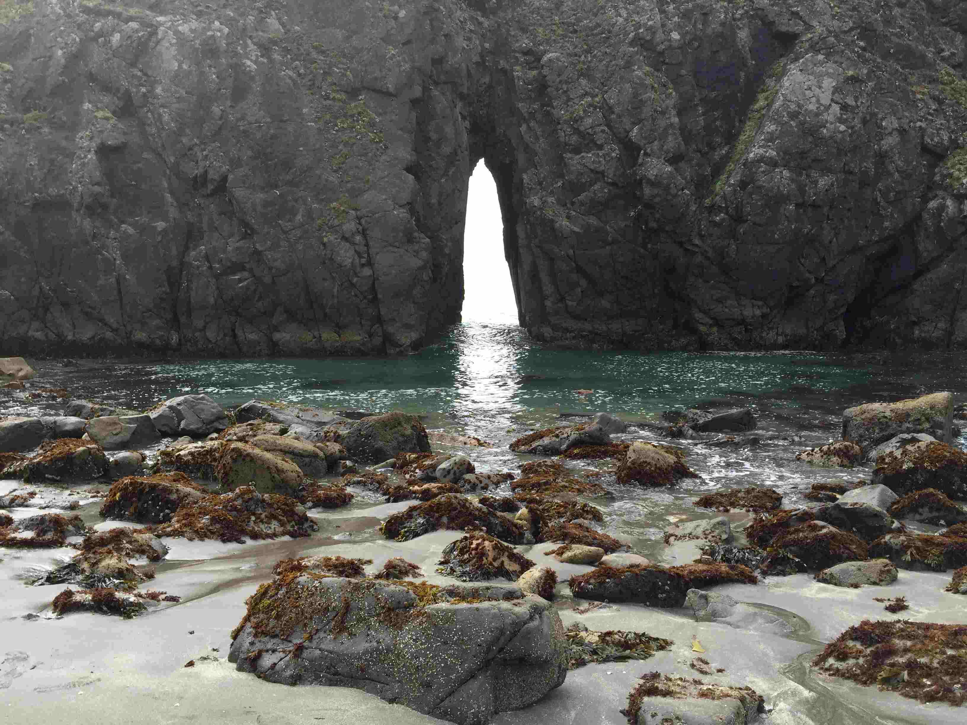 Hidden-Coastal-Caves-Of-Oregon8217s-Samuel-Boardman hidden-coastal-caves-of-oregons-samuel-boardman
