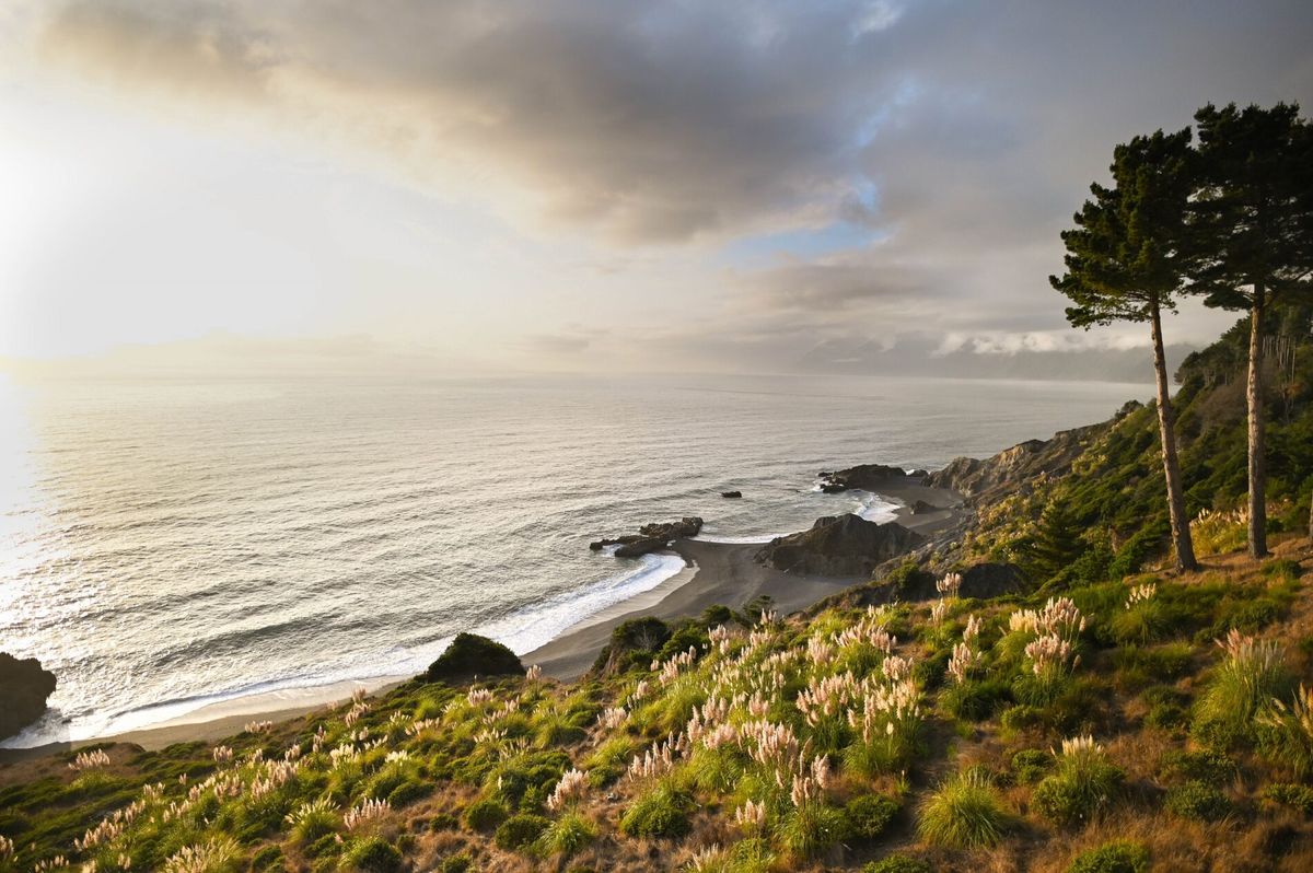 Hidden-Coastal-Coves-Of-California8217s-Lost-Coast hidden-coastal-coves-of-californias-lost-coast