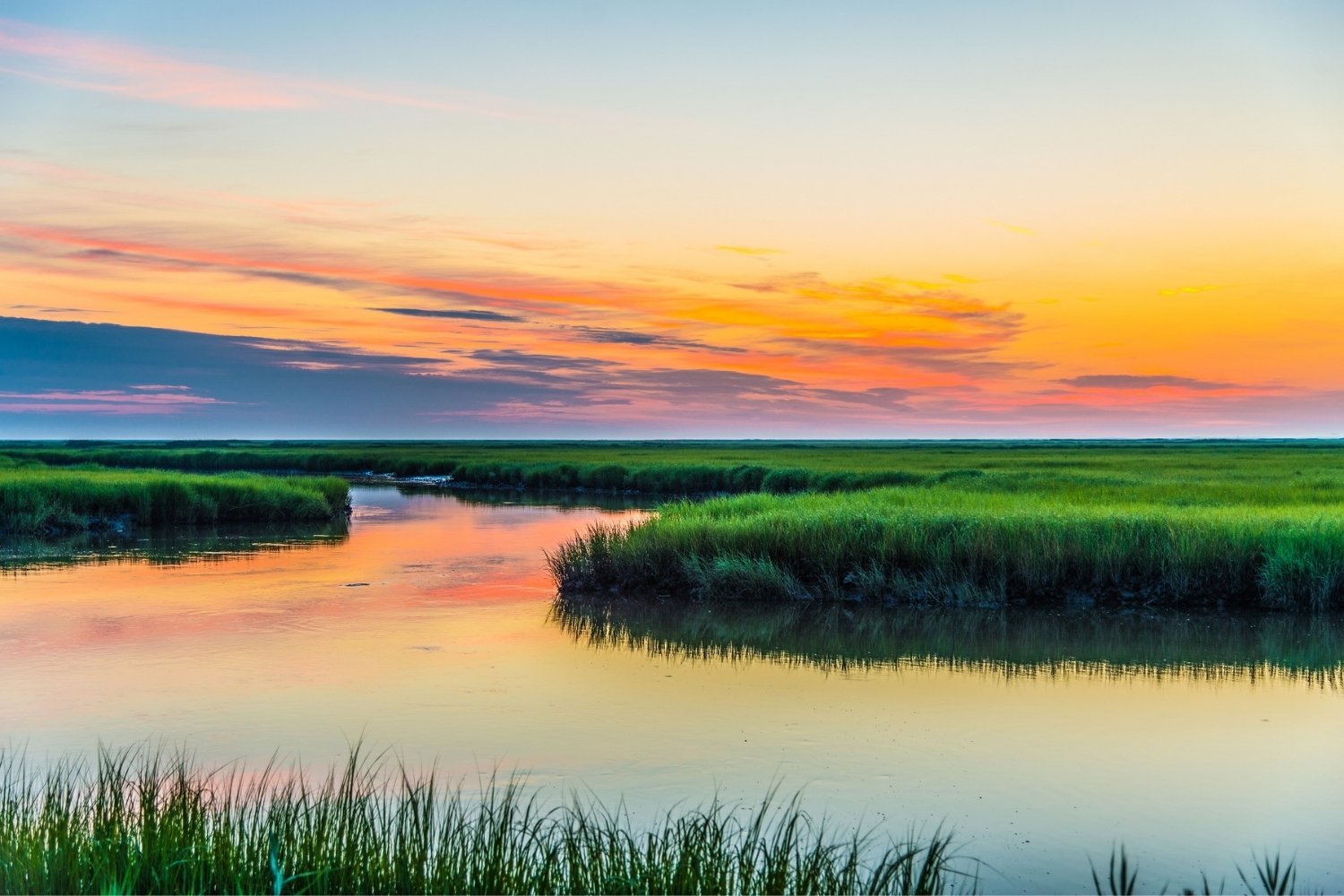 Hidden-Coastal-Marshes-Of-Delaware8217s-Bombay-Hook hidden-coastal-marshes-of-delawares-bombay-hook
