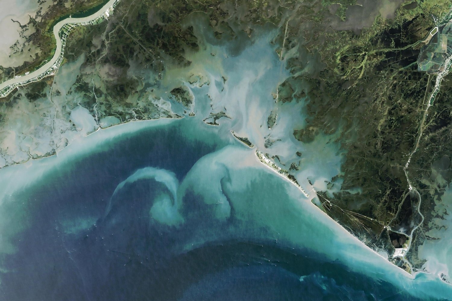 Hidden-Coastal-Marshes-Of-Louisiana8217s-Barataria hidden-coastal-marshes-of-louisianas-barataria
