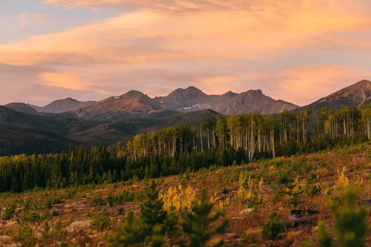 Hidden-Conifer-Groves-In-Colorado8217s-San-Juan-Range hidden-conifer-groves-in-colorados-san-juan-range