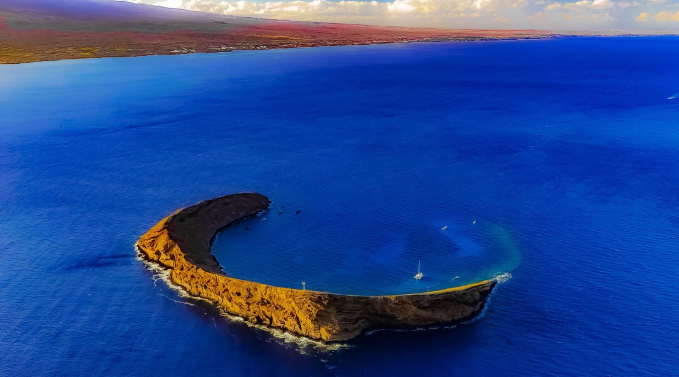 Hidden-Coral-Pools-Of-Hawaii8217s-Molokini-Crater hidden-coral-pools-of-hawaiis-molokini-crater