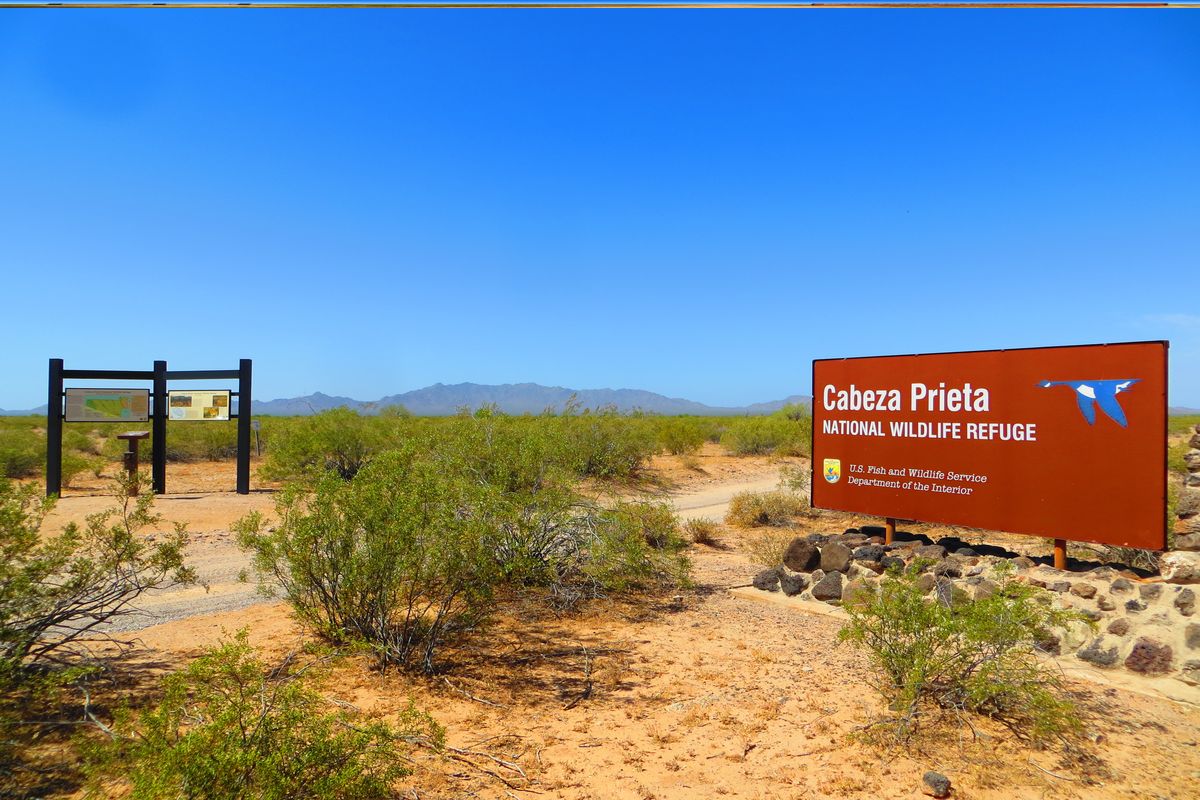 Hidden-Desert-Pools-Of-Arizona8217s-Cabeza-Prieta hidden-desert-pools-of-arizonas-cabeza-prieta
