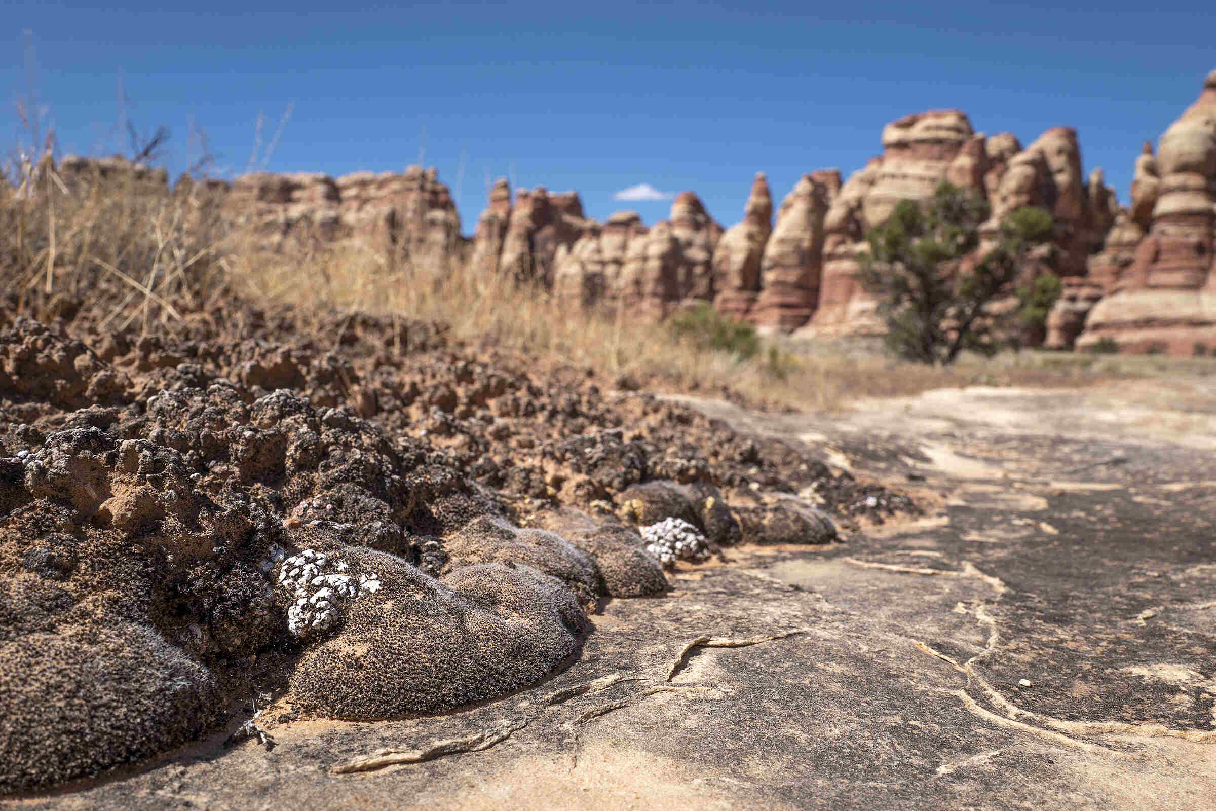 Hidden-Desert-Washes-Of-Utah8217s-Canyonlands hidden-desert-washes-of-utahs-canyonlands