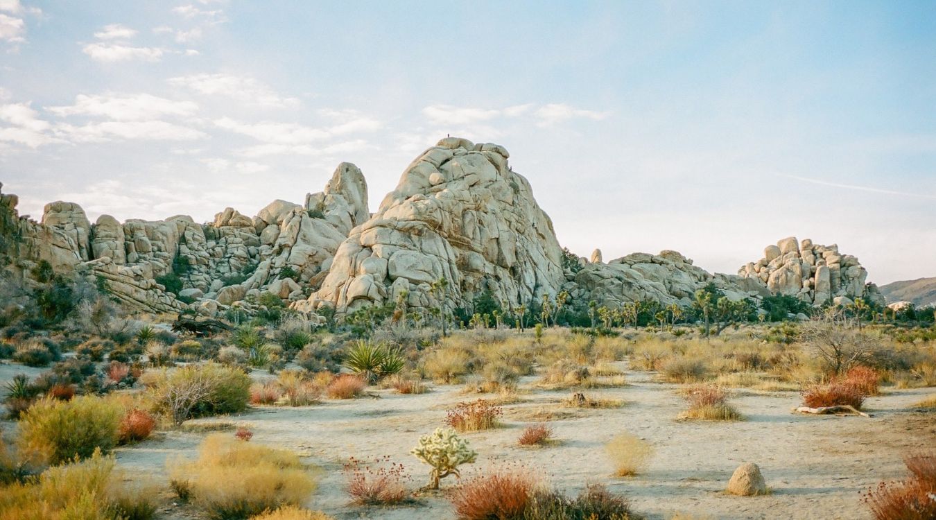 Hidden-Desert-Wonders-Of-California8217s-Joshua-Tree hidden-desert-wonders-of-californias-joshua-tree