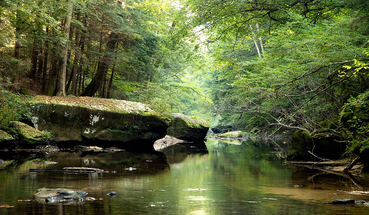 Hidden-Forest-Pools-In-Alabama8217s-Sipsey-Wilderness hidden-forest-pools-in-alabamas-sipsey-wilderness