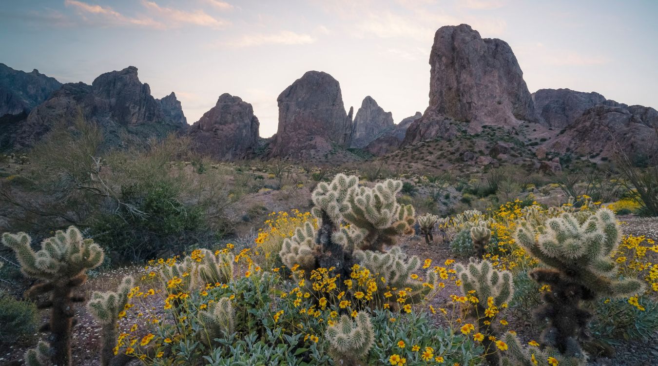 Hidden-Gems-Of-Arizona8217s-Kofa-Mountains hidden-gems-of-arizonas-kofa-mountains