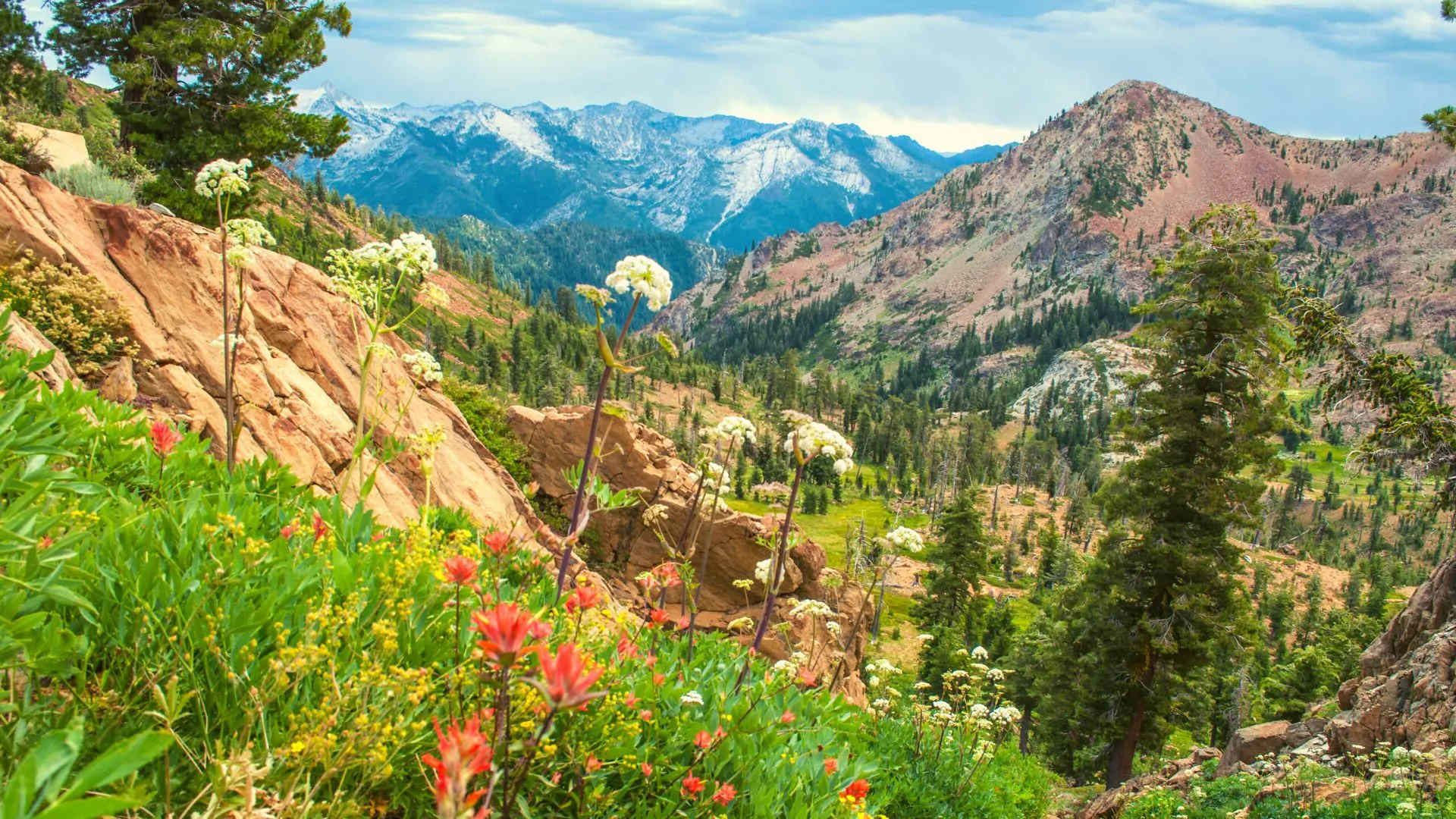 Hidden-Gems-Of-California8217s-Trinity-Alps-Streams hidden-gems-of-californias-trinity-alps-streams