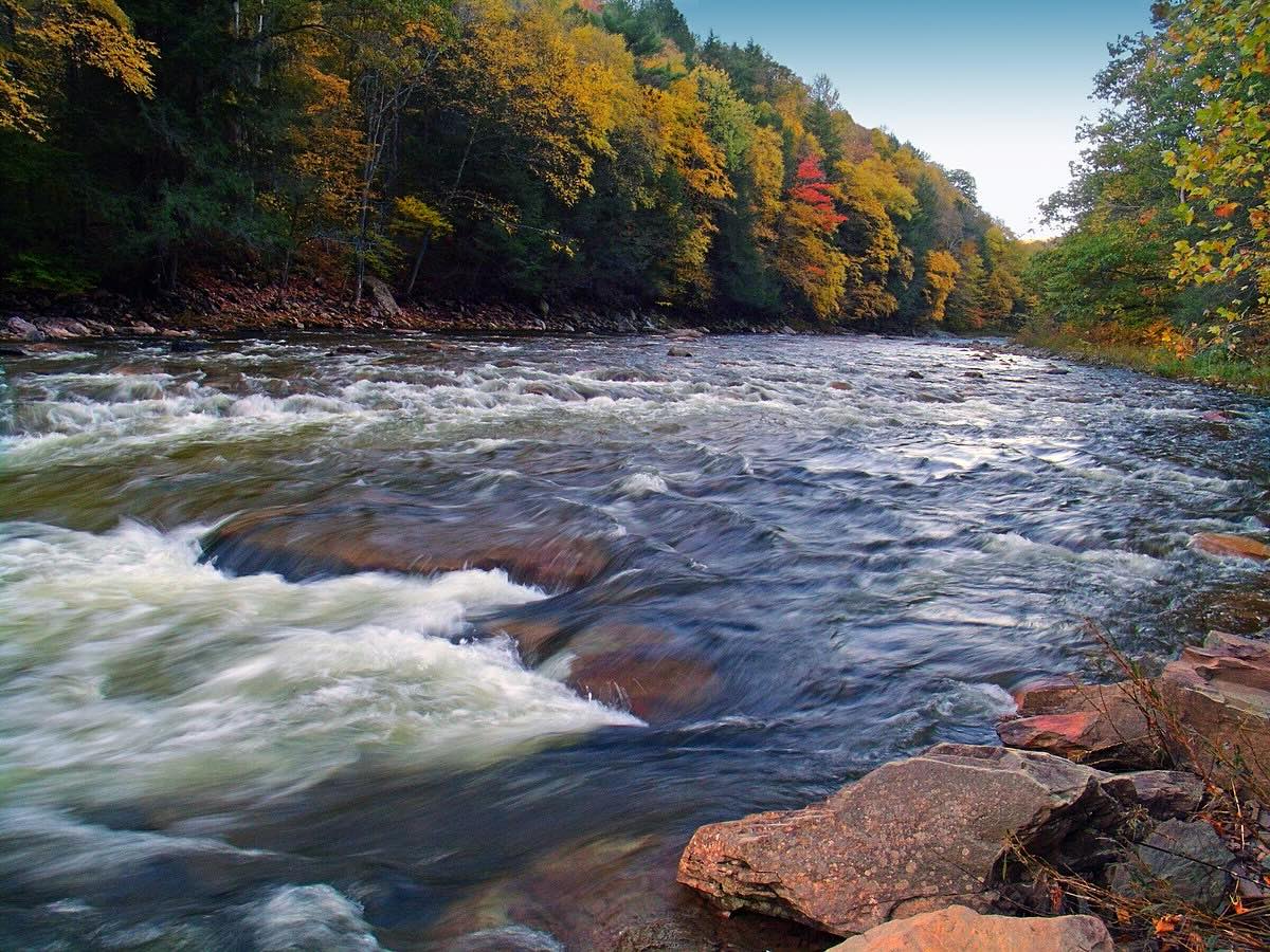Hidden-Gems-Of-Pennsylvania8217s-Loyalsock-Streams hidden-gems-of-pennsylvanias-loyalsock-streams