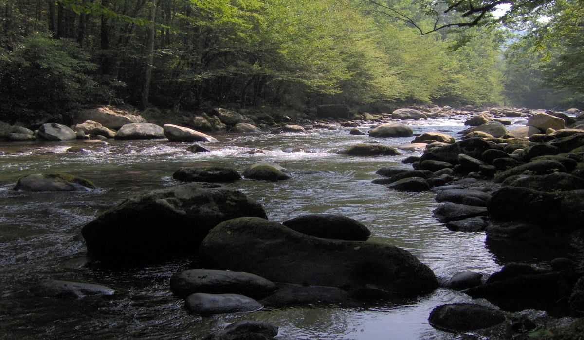 Hidden-Gems-Of-Tennessee8217s-Smoky-Mountain-Streams hidden-gems-of-tennessees-smoky-mountain-streams