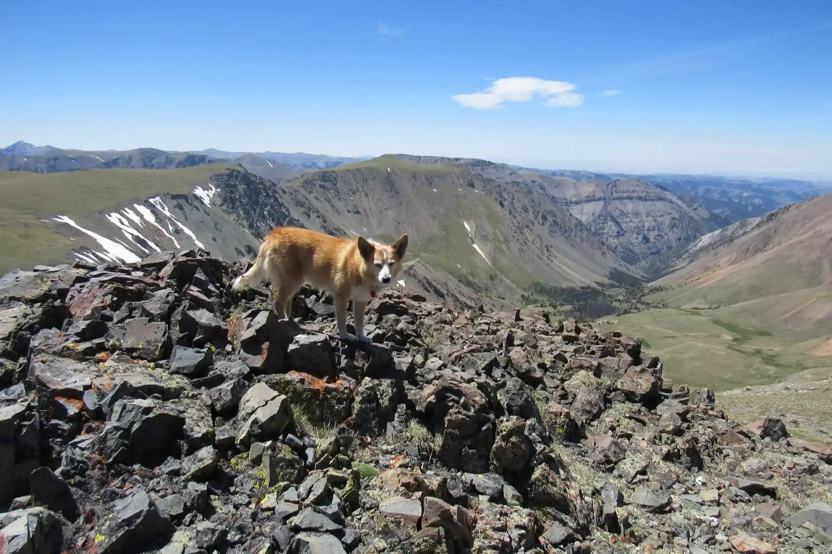 Hidden-Gems-Of-Wyoming8217s-Absaroka-Mountain-Valleys hidden-gems-of-wyomings-absaroka-mountain-valleys