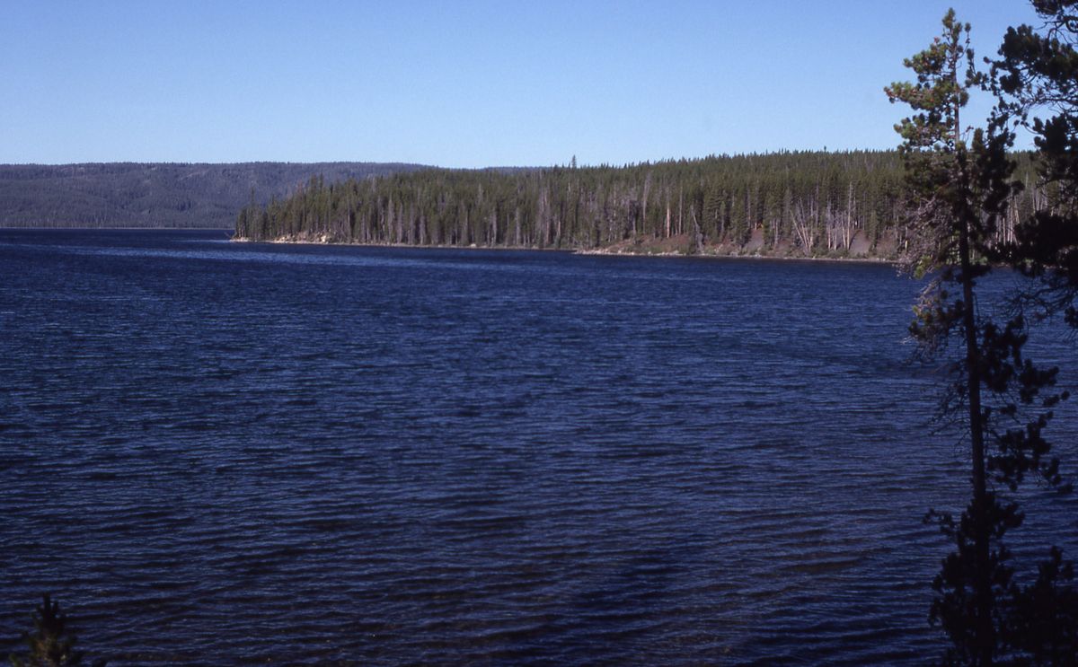 Hidden-Gems-Of-Wyoming8217s-Shoshone-Lakes hidden-gems-of-wyomings-shoshone-lakes