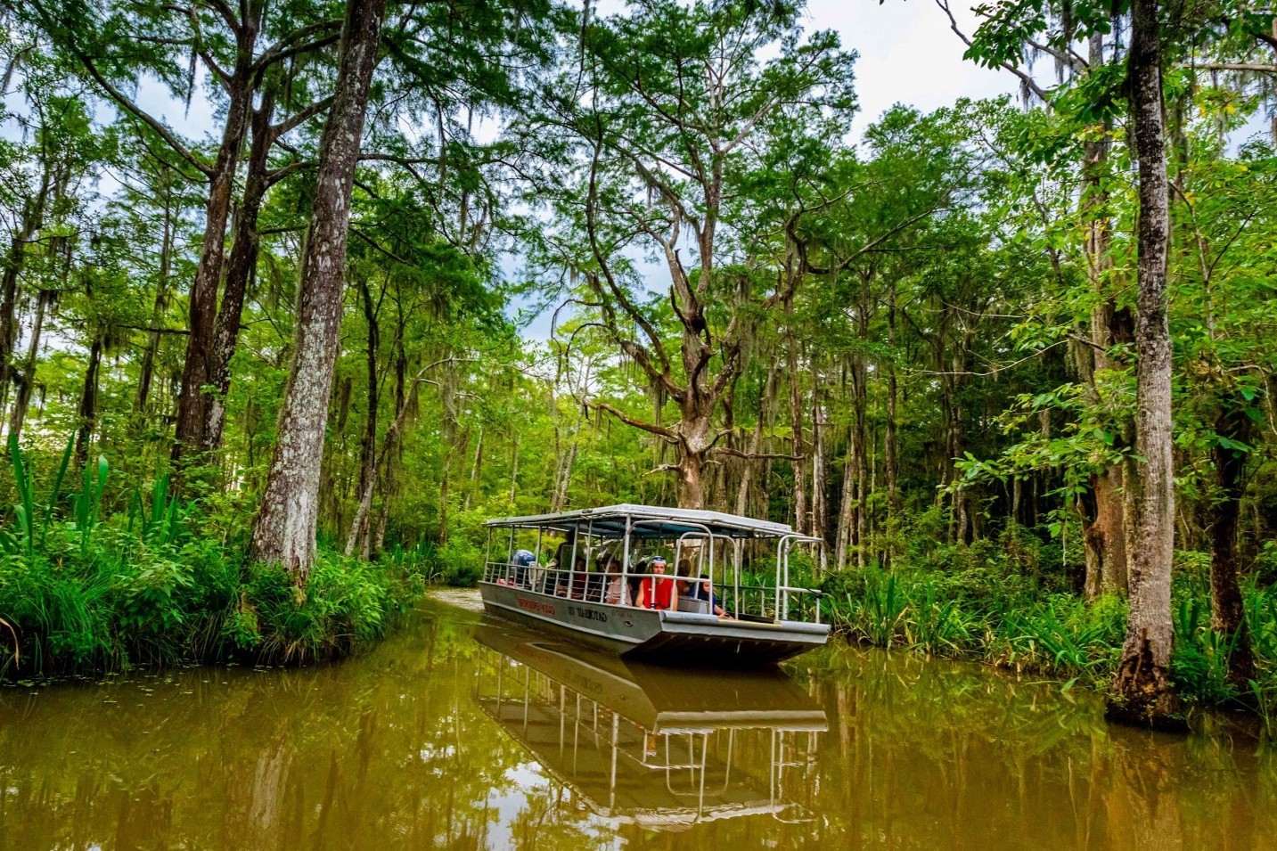 Hidden-Marshes-Of-Louisiana8217s-Honey-Island hidden-marshes-of-louisianas-honey-island