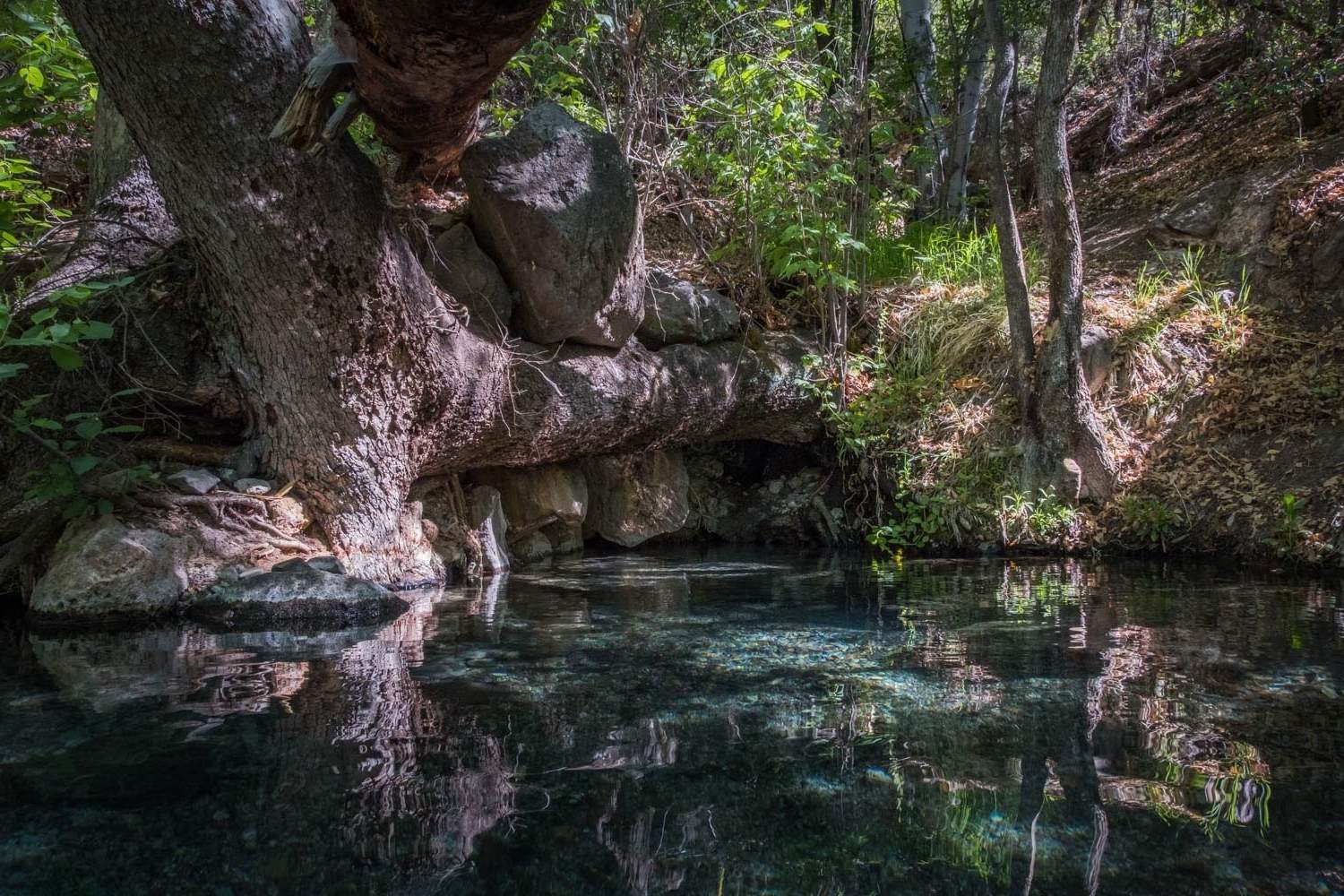 Hidden-Mineral-Pools-In-New-Mexico8217s-Gila-Wilderness hidden-mineral-pools-in-new-mexicos-gila-wilderness