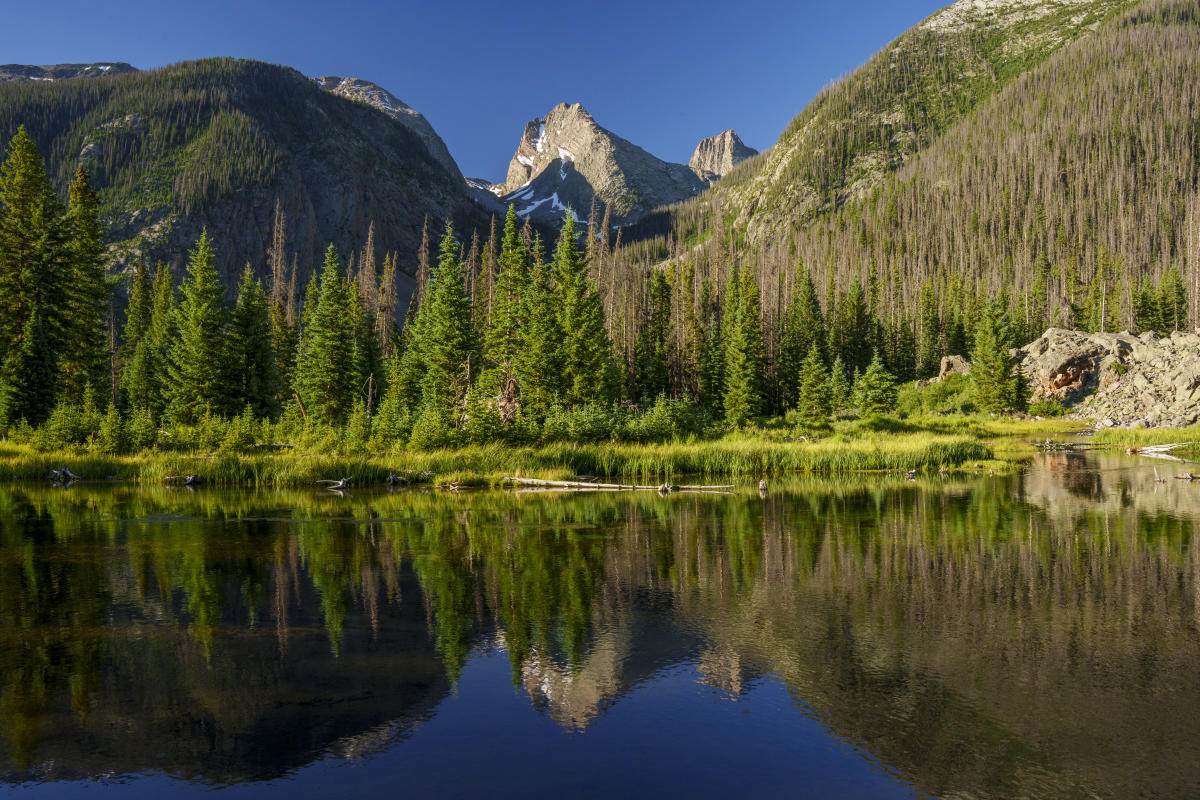 Hidden-Mountain-Meadows-Of-Colorado8217s-Weminuche hidden-mountain-meadows-of-colorados-weminuche