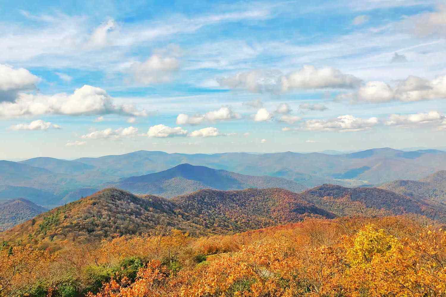 Hidden-Mountain-Orchards-In-Georgia8217s-Blue-Ridge hidden-mountain-orchards-in-georgias-blue-ridge