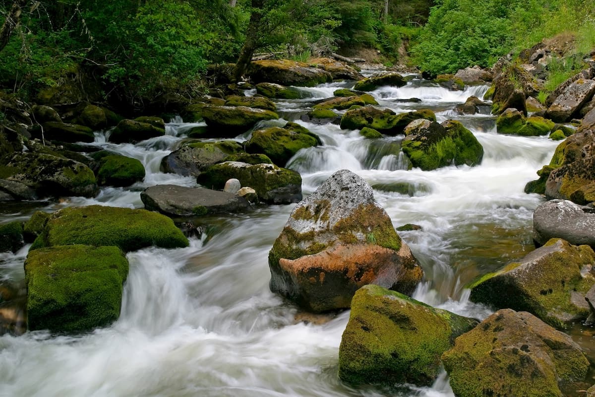 Hidden-Mountain-Streams-Of-Idaho8217s-Gospel-Hump hidden-mountain-streams-of-idahos-gospel-hump