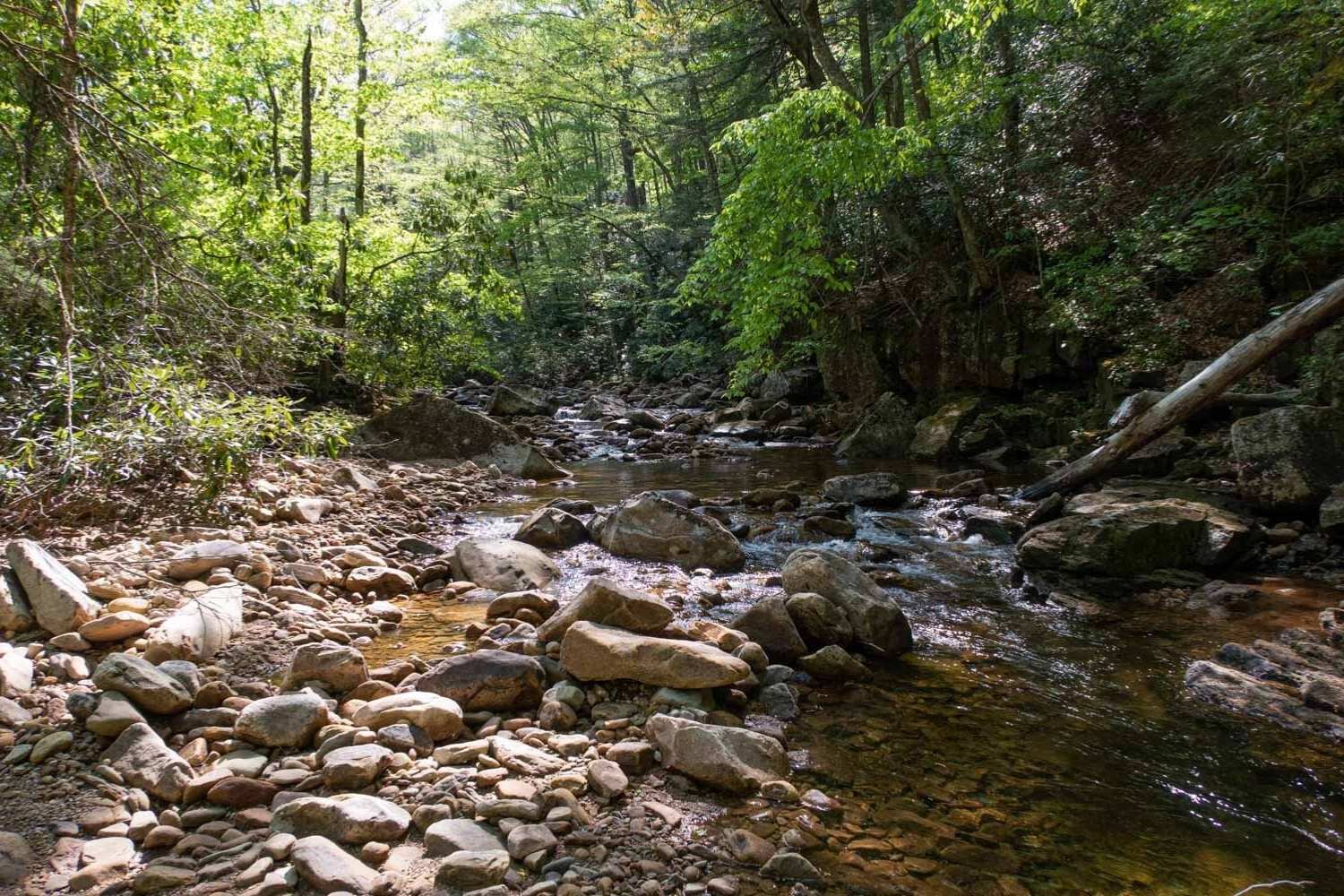 Hidden-Mountain-Streams-Of-West-Virginia8217s-Cranberry-Wilderness hidden-mountain-streams-of-west-virginias-cranberry-wilderness
