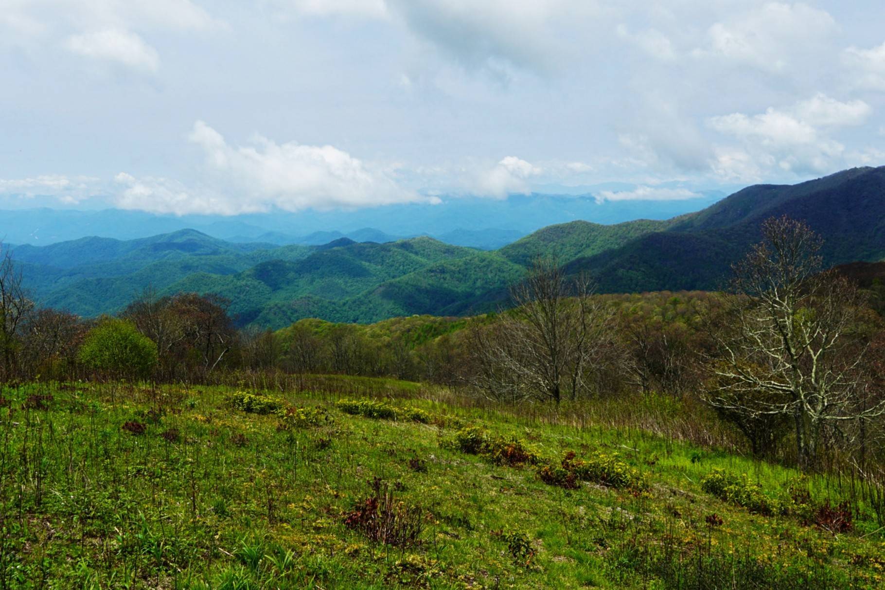 Hidden-Mountaintop-Balds-Of-The-Southern-Appalachians hidden-mountaintop-balds-of-the-southern-appalachians