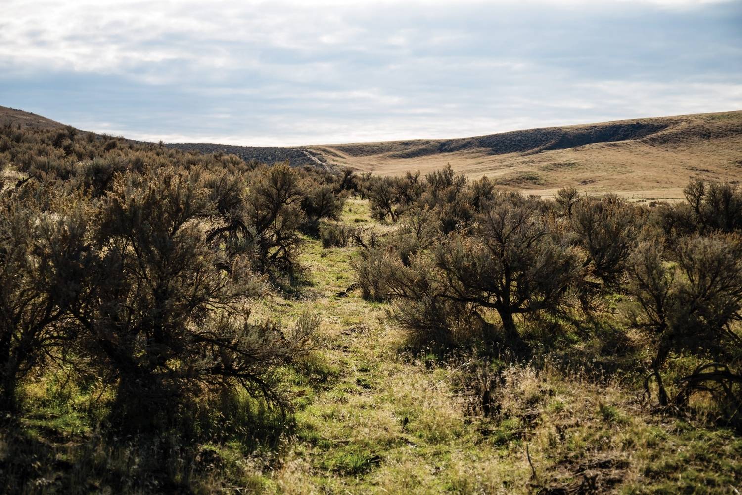Hidden-Pioneer-Crossings-Of-Missouri8217s-Oregon-Trail hidden-pioneer-crossings-of-missouris-oregon-trail