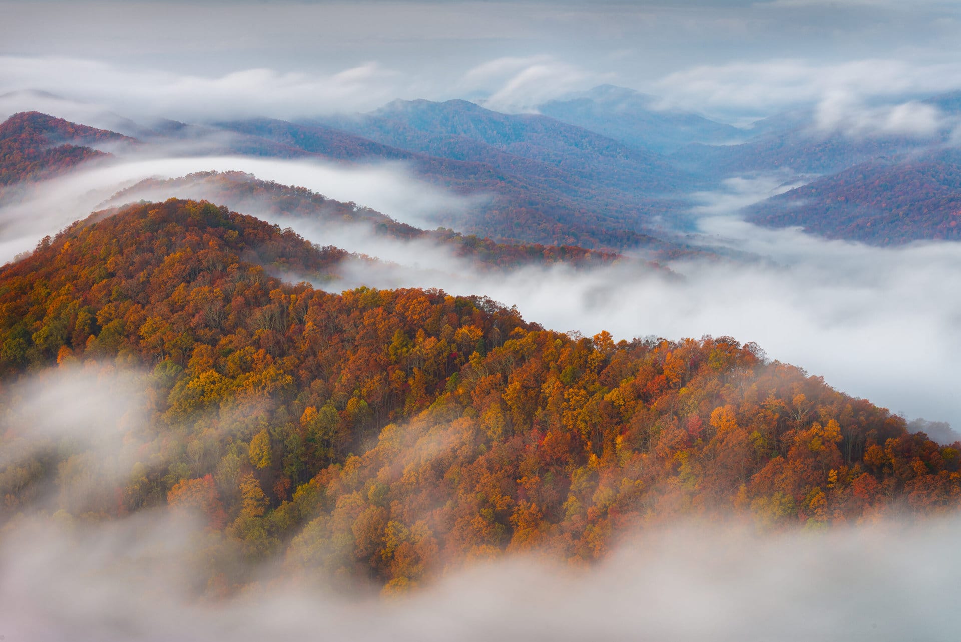 hidden-river-islands-of-tennessees-cumberland