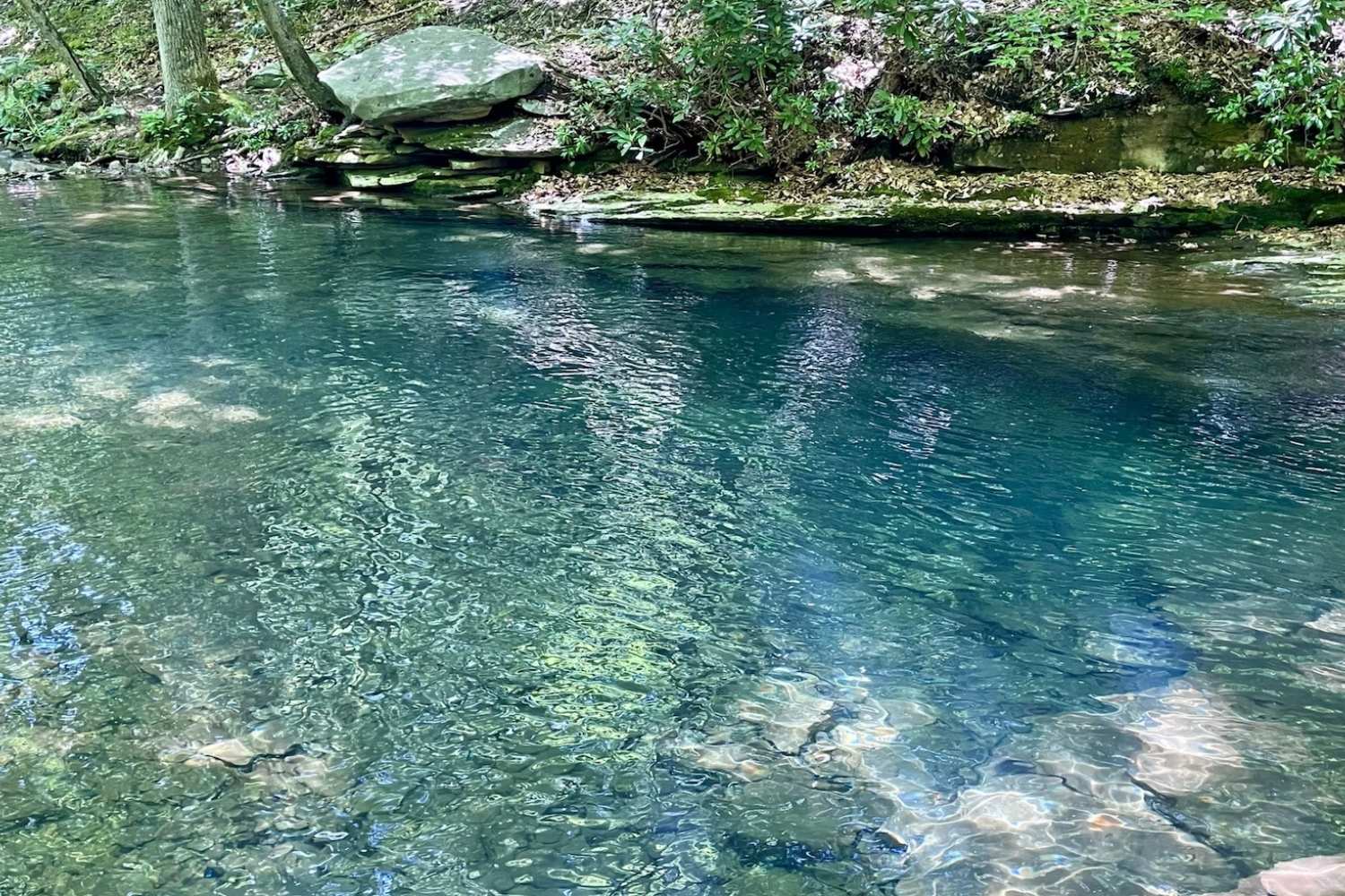 Hidden-River-Secrets-Of-Pennsylvania8217s-Pine-Creek hidden-river-secrets-of-pennsylvanias-pine-creek