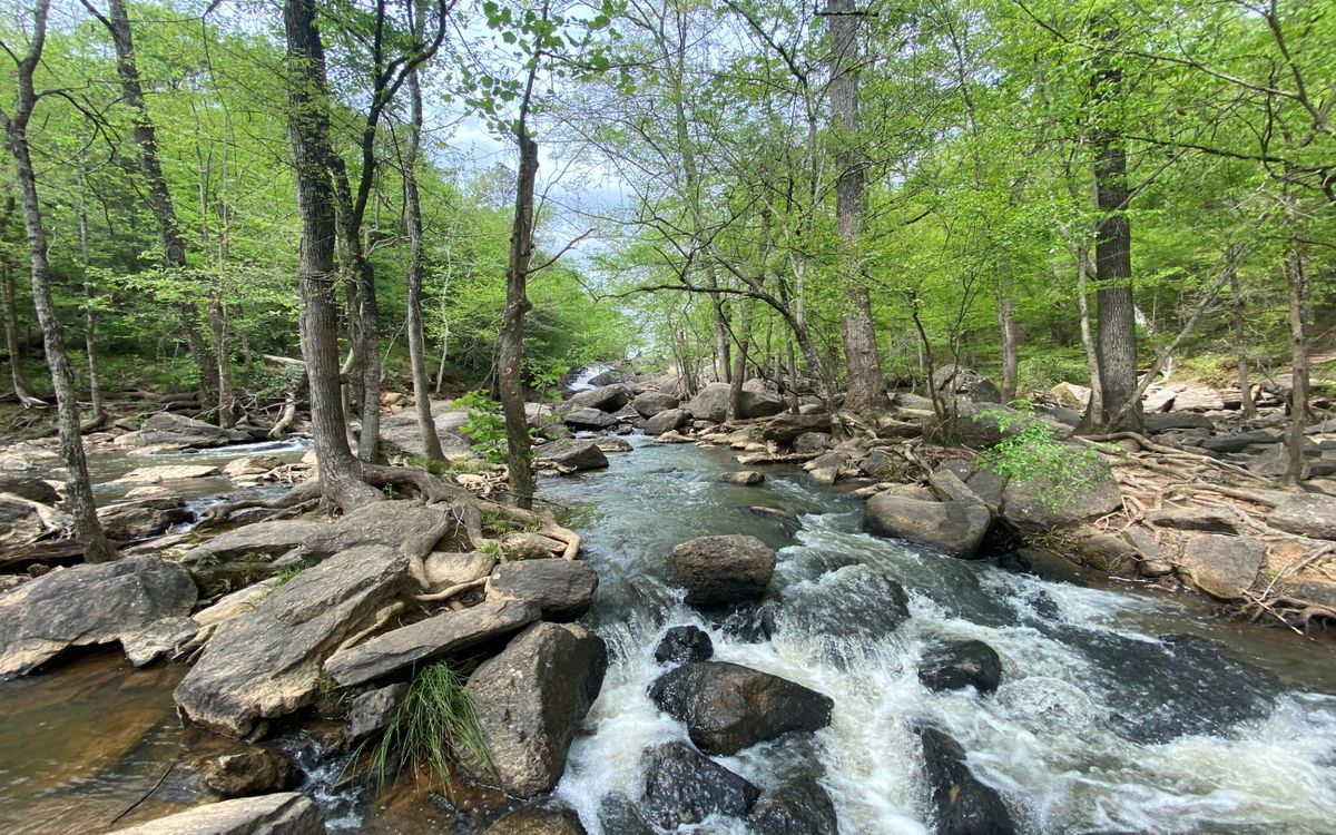 Hidden-Rivers-Of-Alabama8217s-Warrior-Basin hidden-rivers-of-alabamas-warrior-basin