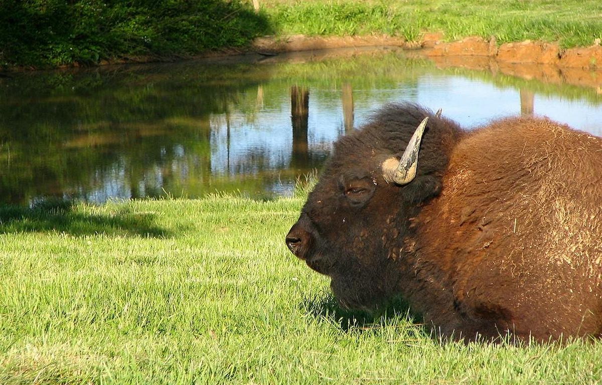 hidden-springs-of-kentuckys-land-between-the-lakes