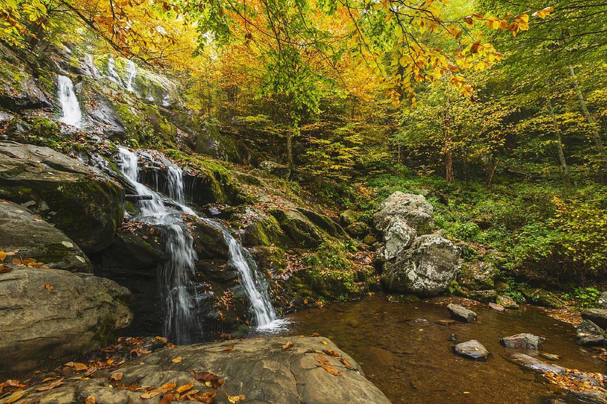 Hidden-Springs-Of-Virginia8217s-Shenandoah hidden-springs-of-virginias-shenandoah