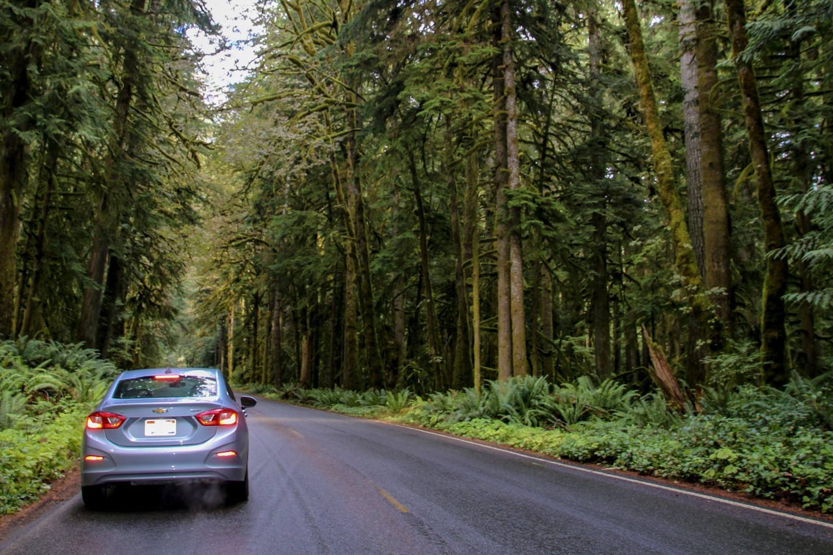 Hidden-Timber-Towns-Of-Washington8217s-Olympic-Peninsula hidden-timber-towns-of-washingtons-olympic-peninsula