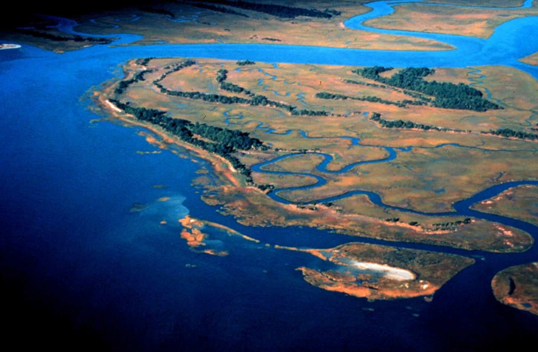 Hidden-Waterways-Of-South-Carolina8217s-ACE-Basin hidden-waterways-of-south-carolinas-ace-basin