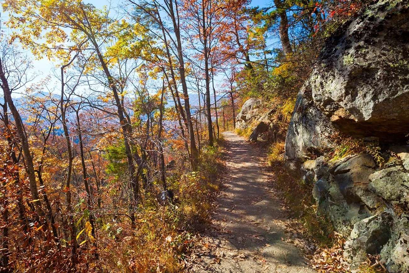 Hidden-Wildlife-Paths-In-The-Appalachian-Mountains hidden-wildlife-paths-in-the-appalachian-mountains