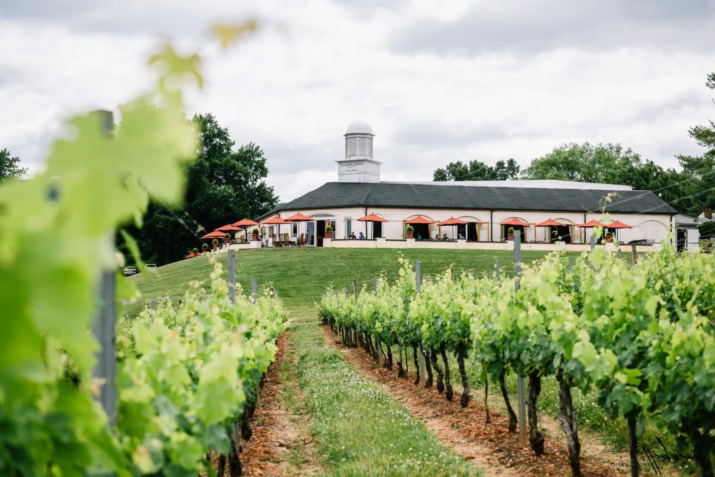 hidden-wineries-of-virginias-piedmont-region