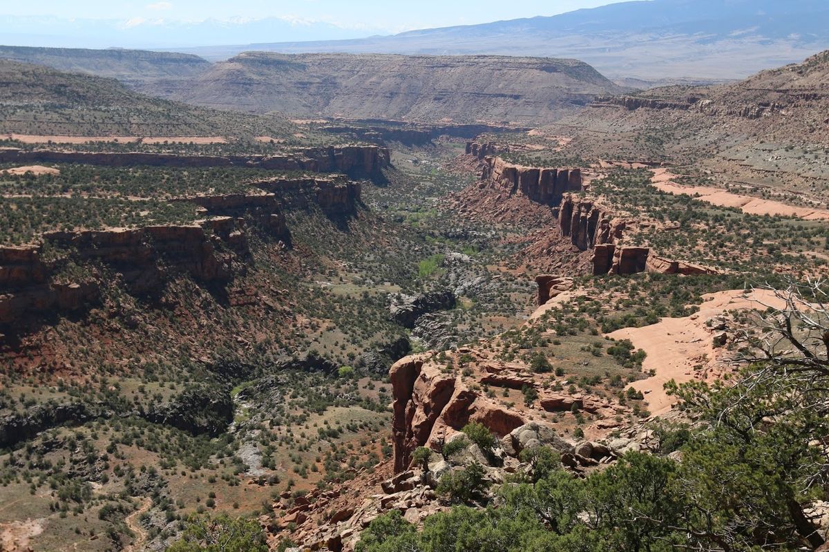 Hidden-Wonders-Of-Colorado8217s-Dominguez-Canyon hidden-wonders-of-colorados-dominguez-canyon