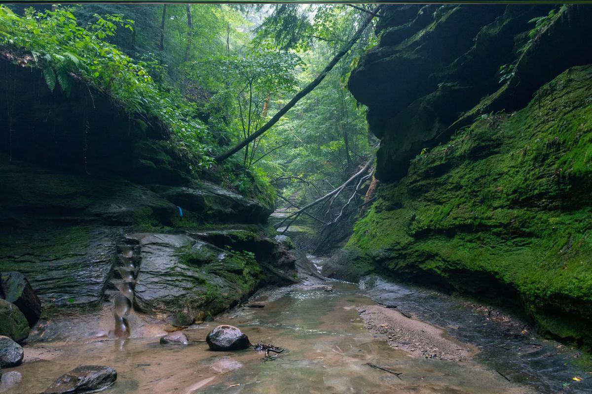 Hidden-Wonders-Of-Indiana8217s-Turkey-Run hidden-wonders-of-indianas-turkey-run