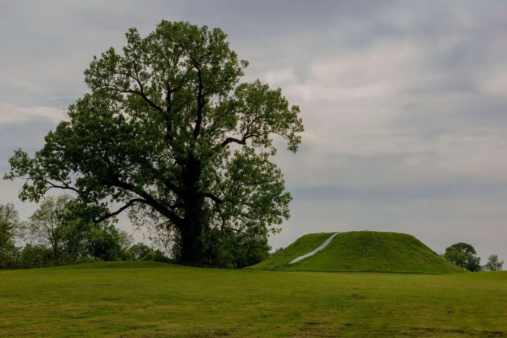 mysteries-of-mississippis-winterville-stone-circles