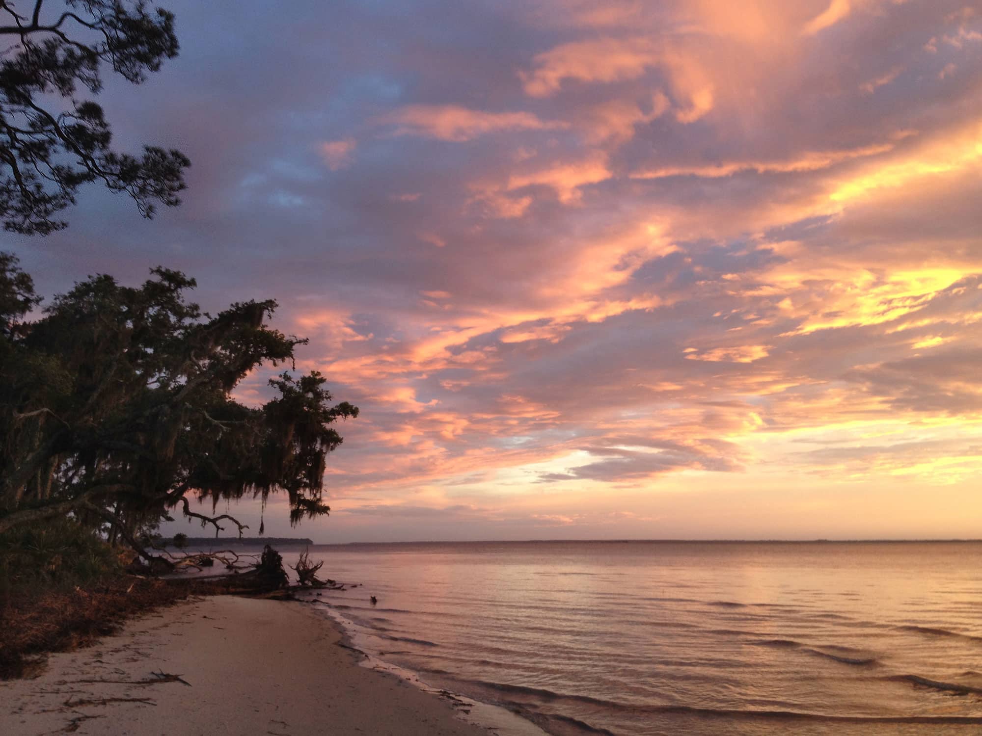 Secret-Moonlit-Beaches-Of-Cumberland-Island secret-moonlit-beaches-of-cumberland-island