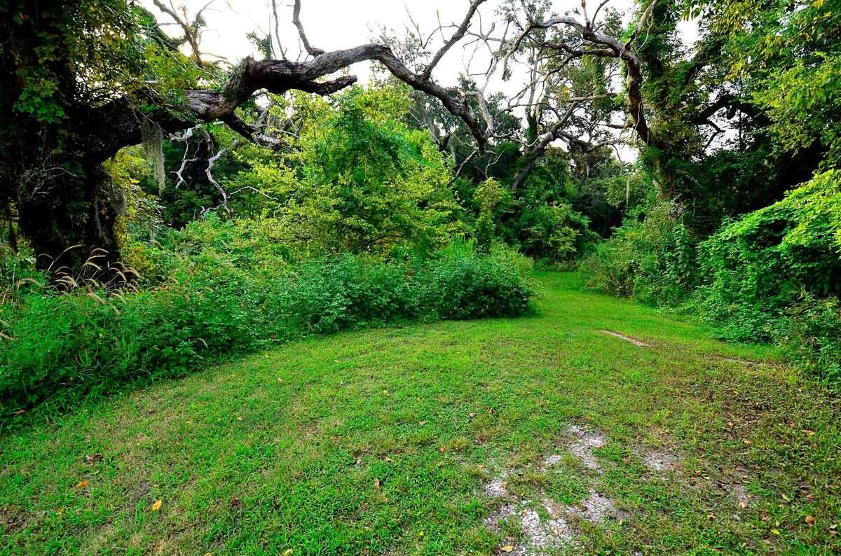 Secrets-Of-Alabama8217s-Ancient-Shell-Mounds secrets-of-alabamas-ancient-shell-mounds