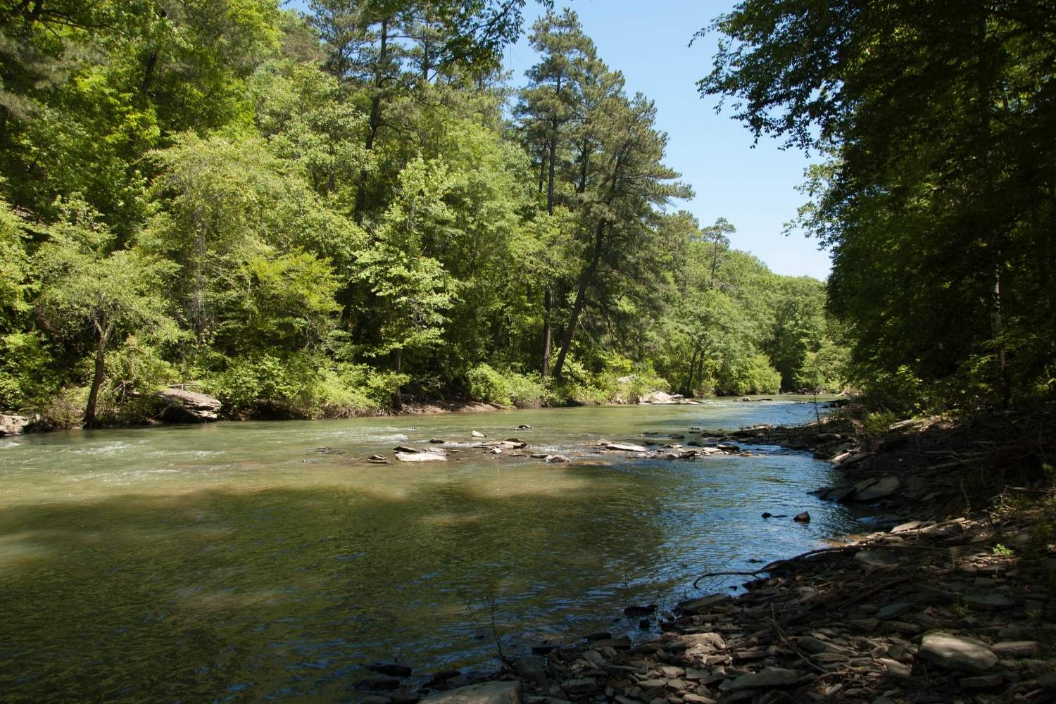 Secrets-Of-Alabama8217s-Cahaba-River-Mills secrets-of-alabamas-cahaba-river-mills