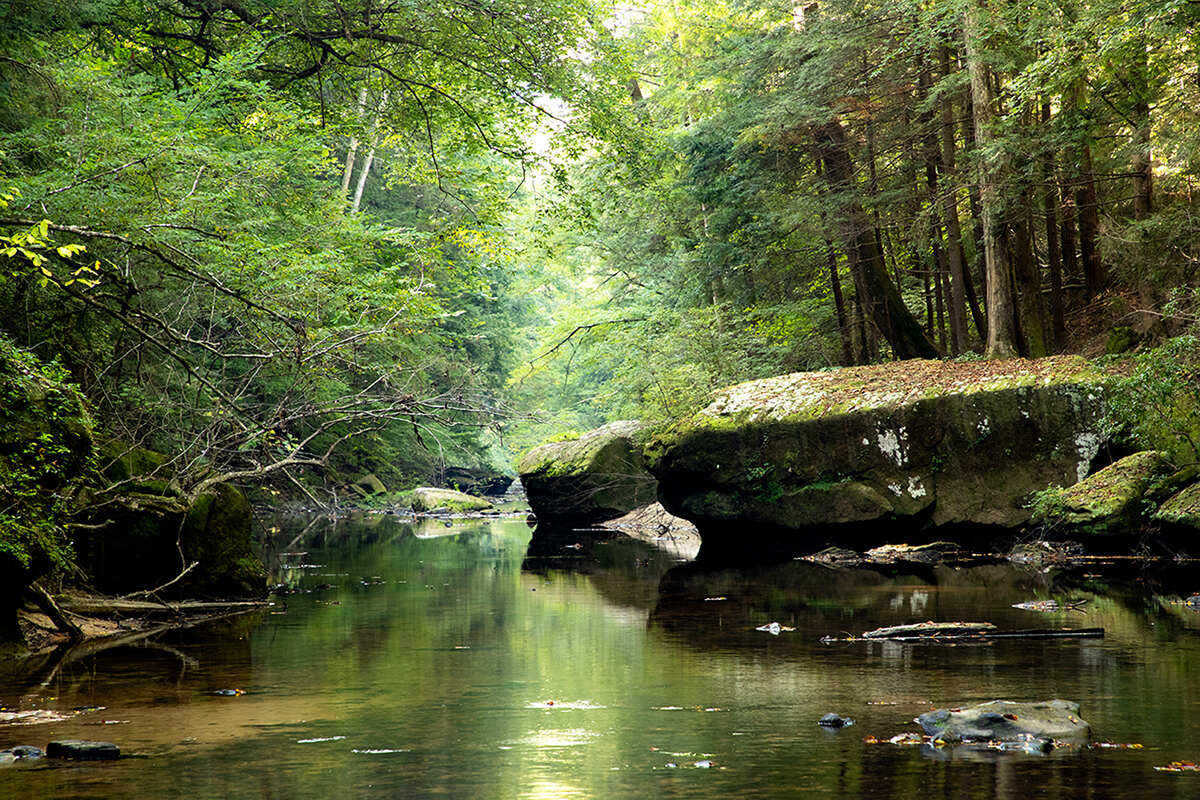 Secrets-Of-Alabama8217s-Sipsey-Wilderness-Pools secrets-of-alabamas-sipsey-wilderness-pools