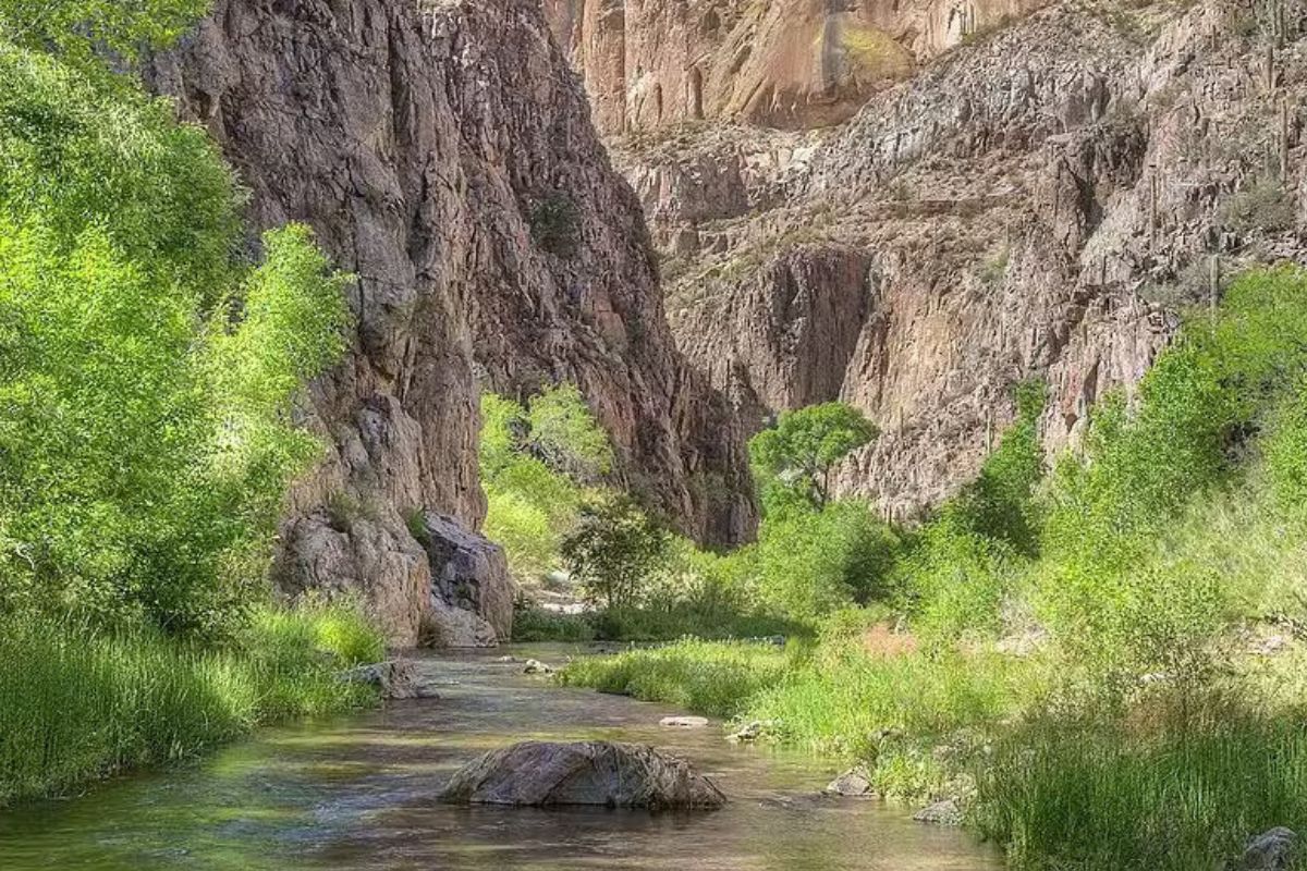 Secrets-Of-Arizona8217s-Aravaipa-Canyons secrets-of-arizonas-aravaipa-canyons