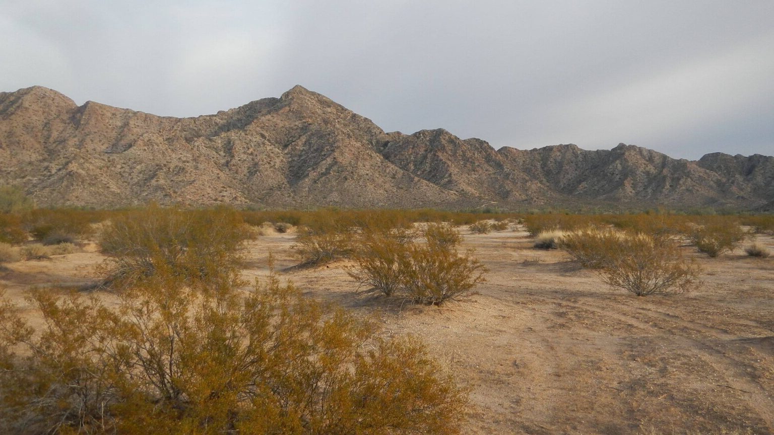 Secrets-Of-Arizona8217s-Cabeza-Prieta-Desert-Hills secrets-of-arizonas-cabeza-prieta-desert-hills