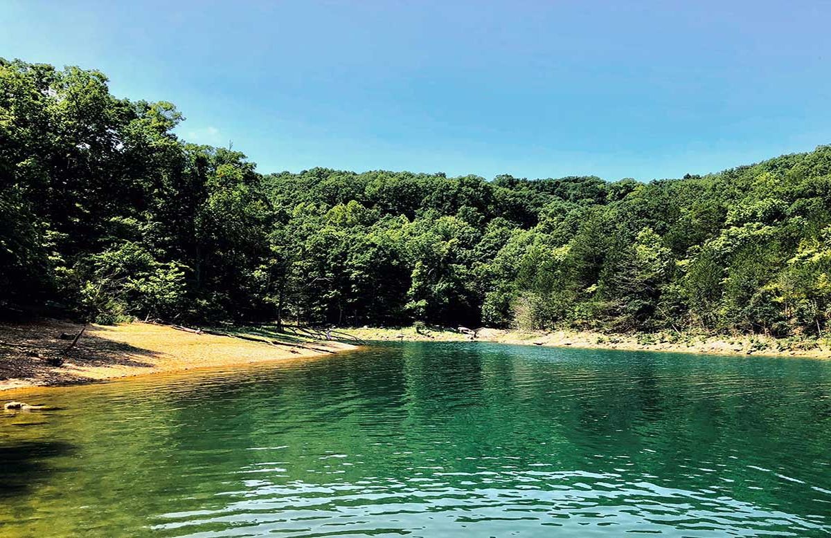 Secrets-Of-Arkansas8217s-Emerald-Forest-Pools secrets-of-arkansass-emerald-forest-pools